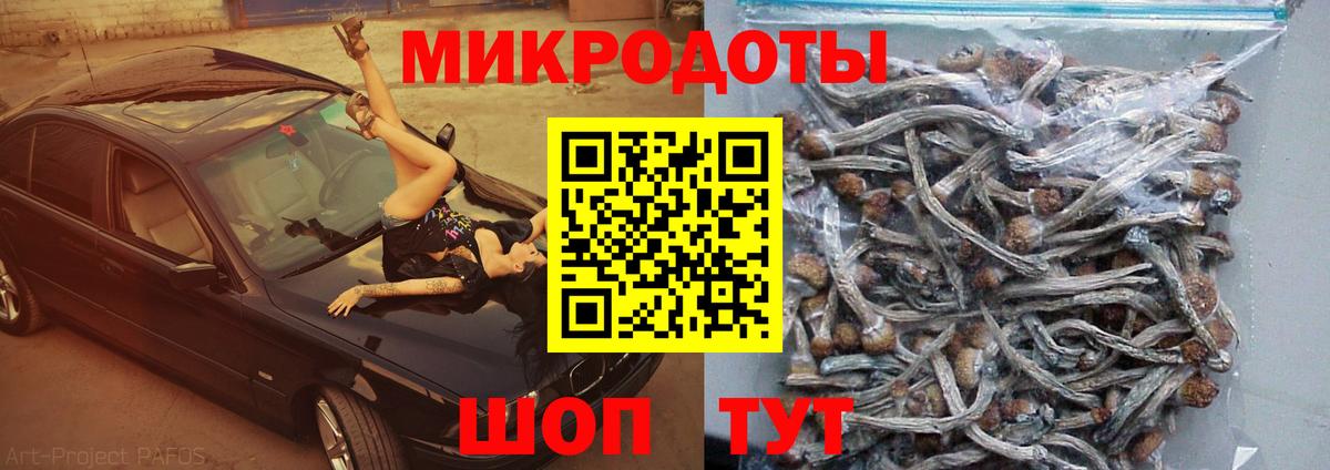 закладки  Галлюциногенные грибы Psilocybine cubensis  Вход с VPN  Ростов-на-Дону 