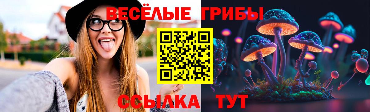 Галлюциногенные грибы Cubensis Ростов-на-Дону