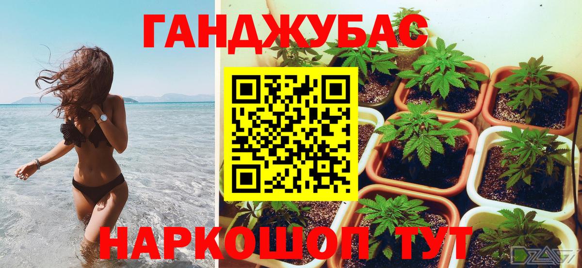 Ростов-на-Дону  Шишки марихуана конопля  Каннабис индика  Вход с VPN  Каннабис ГИДРОПОН 